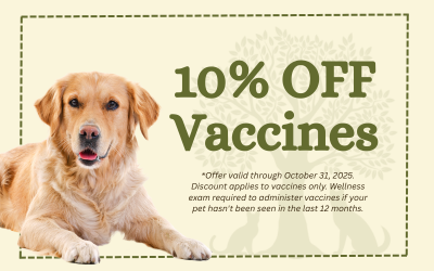 Save 10% off vaccines from August to October at Olive Tree Animal Hospital.