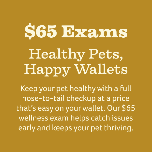 $65 exams
